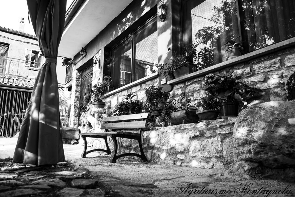 Agriturismo Montagnola Abruzzo Villa Casalanguida Exterior foto